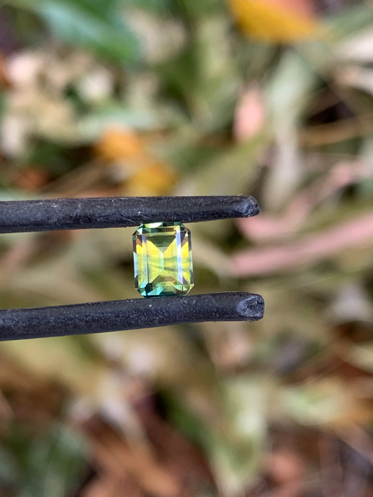 Australian Sapphire