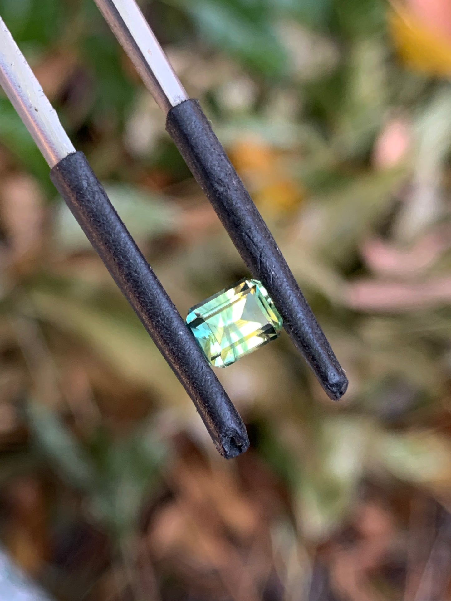 Australian Parti Sapphire 