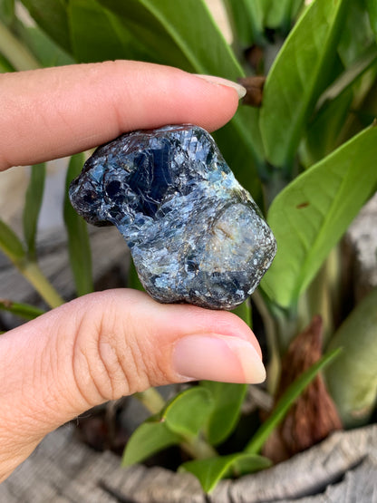 299.6ct Australian Sapphire Specimen