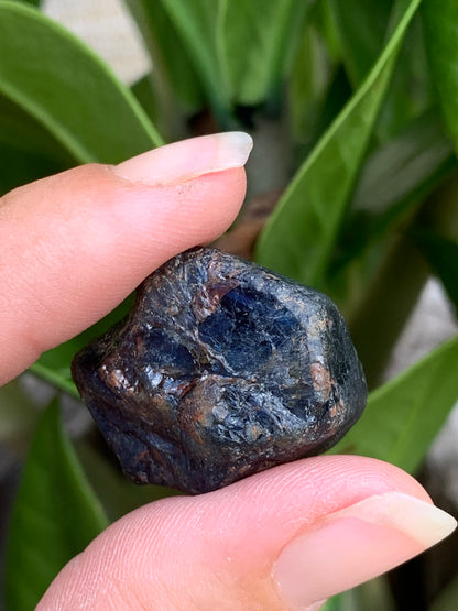 62.8ct Australian Sapphire Specimen