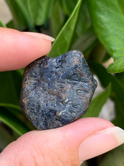 62.8ct Australian Sapphire Specimen