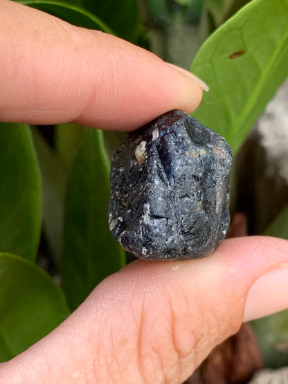 80.55ct Australian Sapphire Specimen