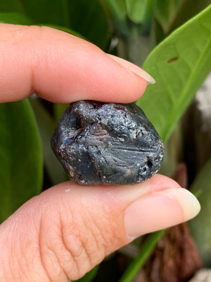 80.55ct Australian Sapphire Specimen