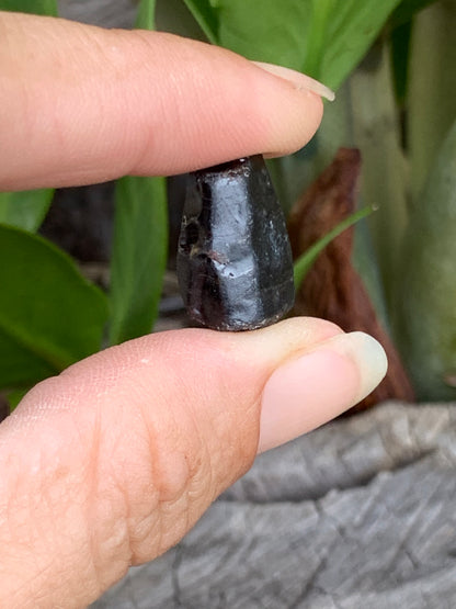 24.7ct Natural Australian Dog's Tooth Sapphire Specimen