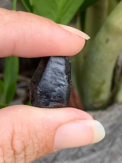 24.7ct Natural Australian Dog's Tooth Sapphire Specimen