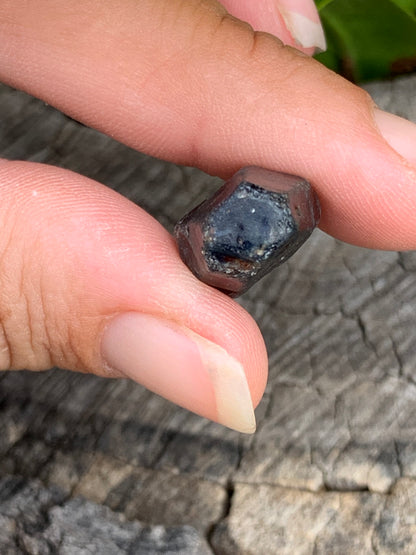 24.7ct Natural Australian Dog's Tooth Sapphire Specimen