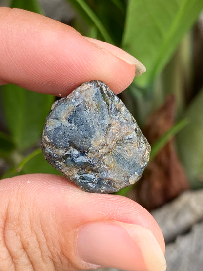 39ct Partial Trapiche Australian Sapphire Specimen