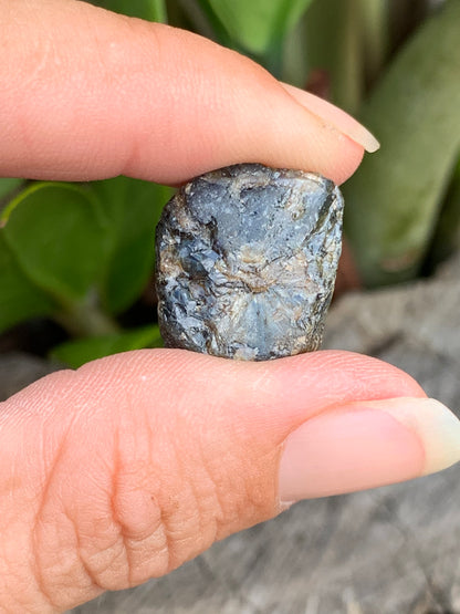 39ct Partial Trapiche Australian Sapphire Specimen