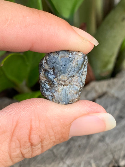 39ct Partial Trapiche Australian Sapphire Specimen