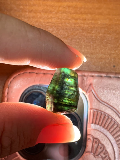 24.7ct Natural Australian Dog's Tooth Sapphire Specimen