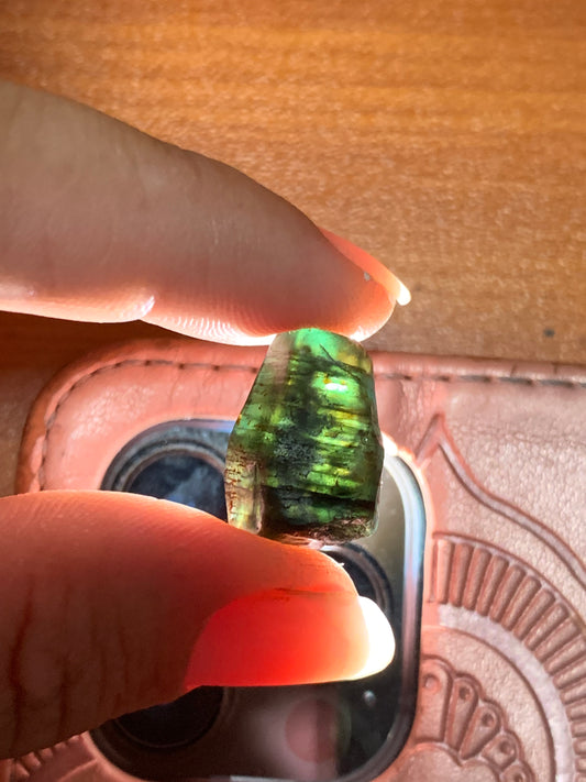 24.7ct Natural Australian Dog's Tooth Sapphire Specimen