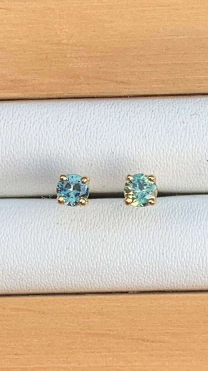 Parti Sapphire Earrings
