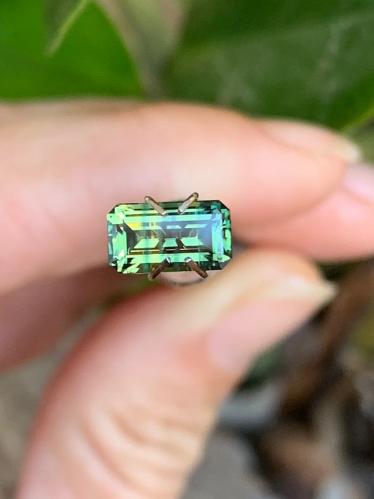 Parti Sapphire