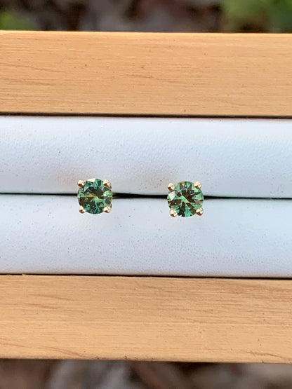 Green Australian Parti Sapphire Earrings ~ 4mm Gold Studs