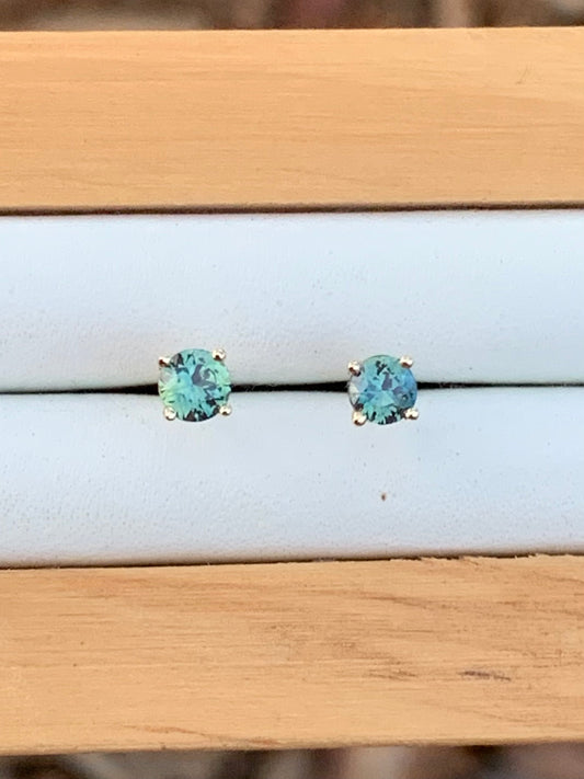 Australian Parti Sapphire Earrings ~ 3.5mm Gold Studs