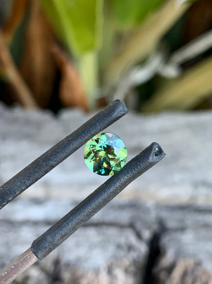 Close-up of 1.06ct wattle parti sapphire showing soft yellow and green colour