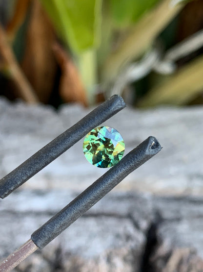 Australian sapphire with wattle-toned colour variation