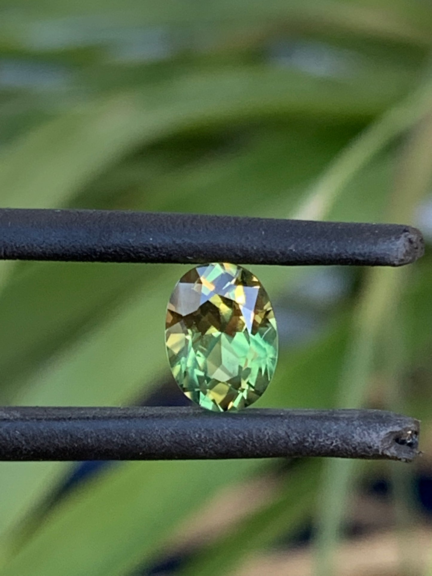 1ct Yellow/Green Australian Parti Sapphire