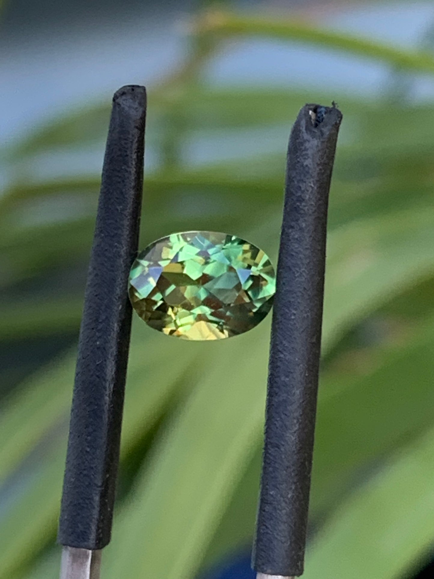 1ct Yellow/Green Australian Parti Sapphire