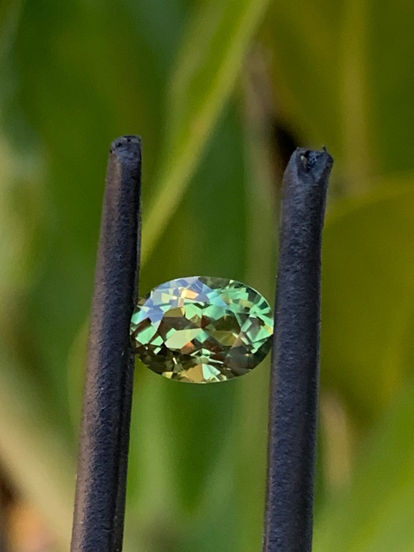 1ct Yellow/Green Australian Parti Sapphire