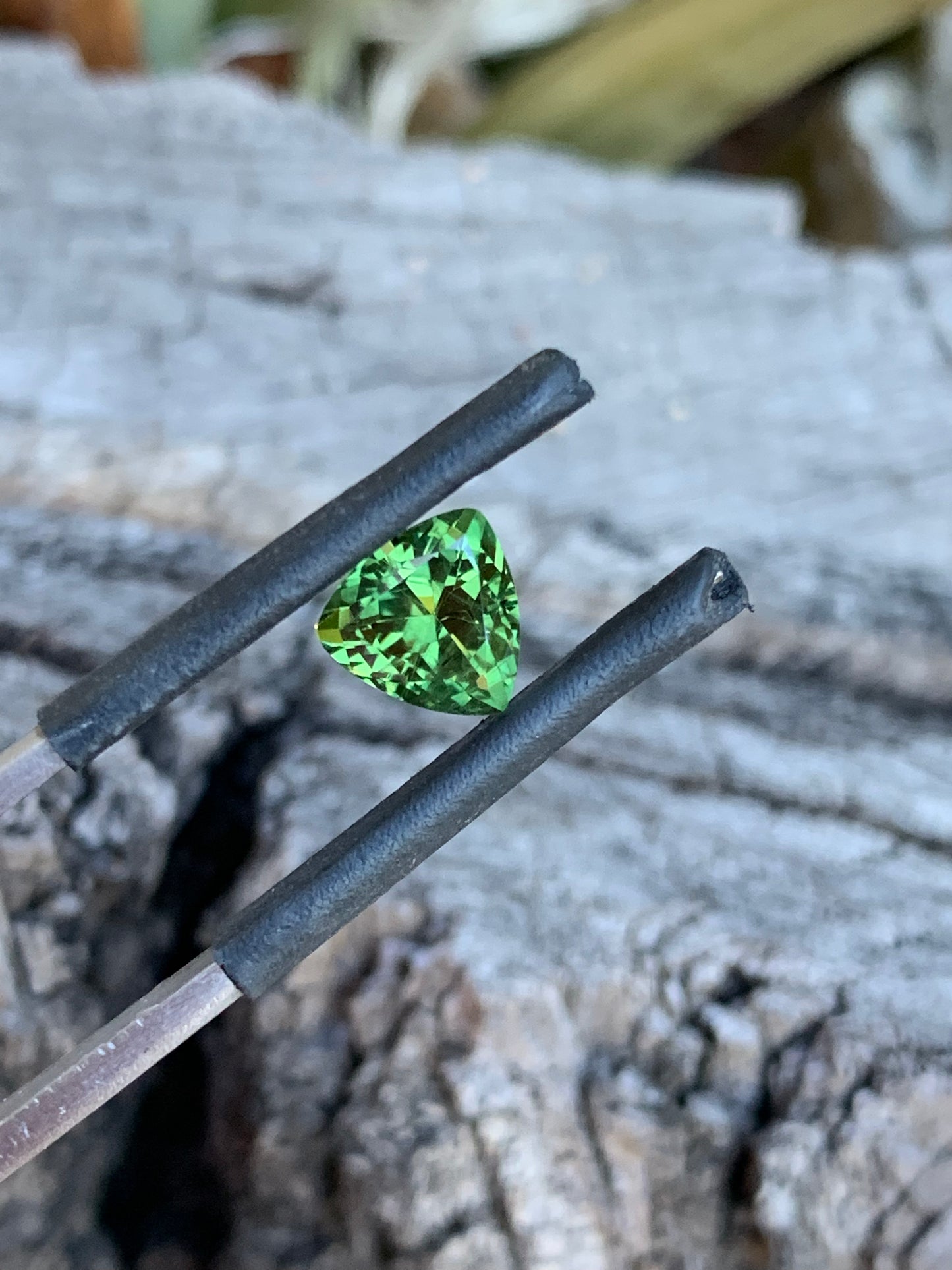Light green Australian sapphire in a trillion cut