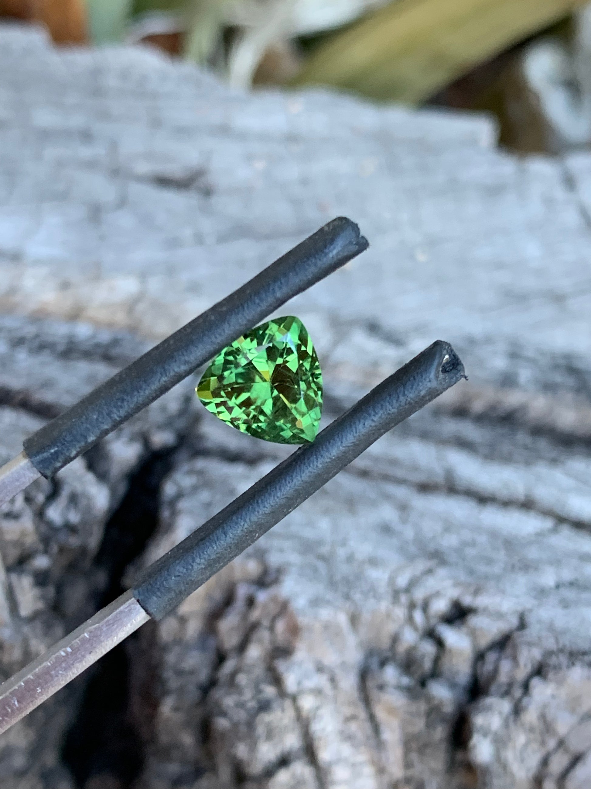 Light green Australian sapphire in a trillion cut