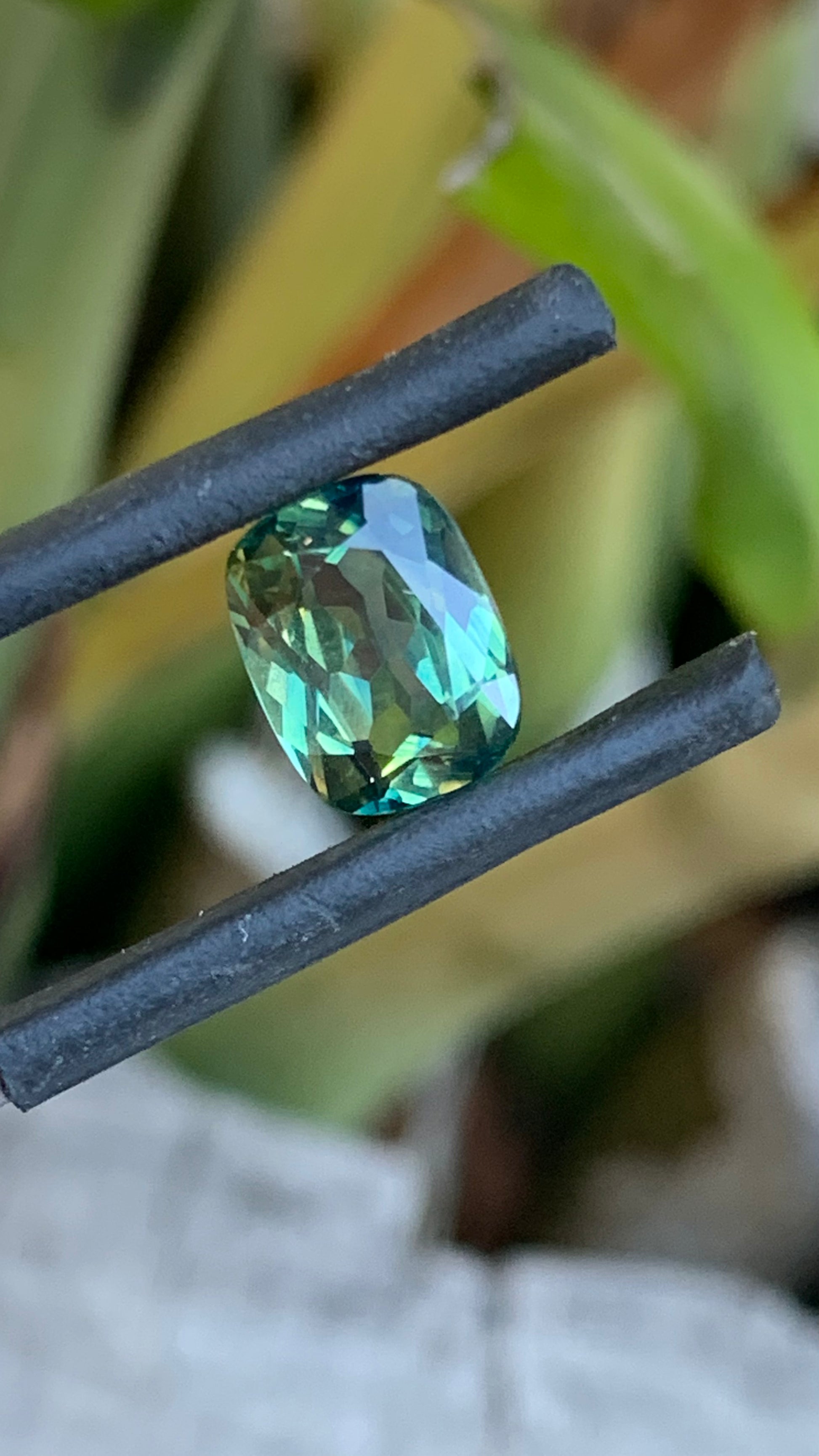 Natural Teal Australian parti Sapphire