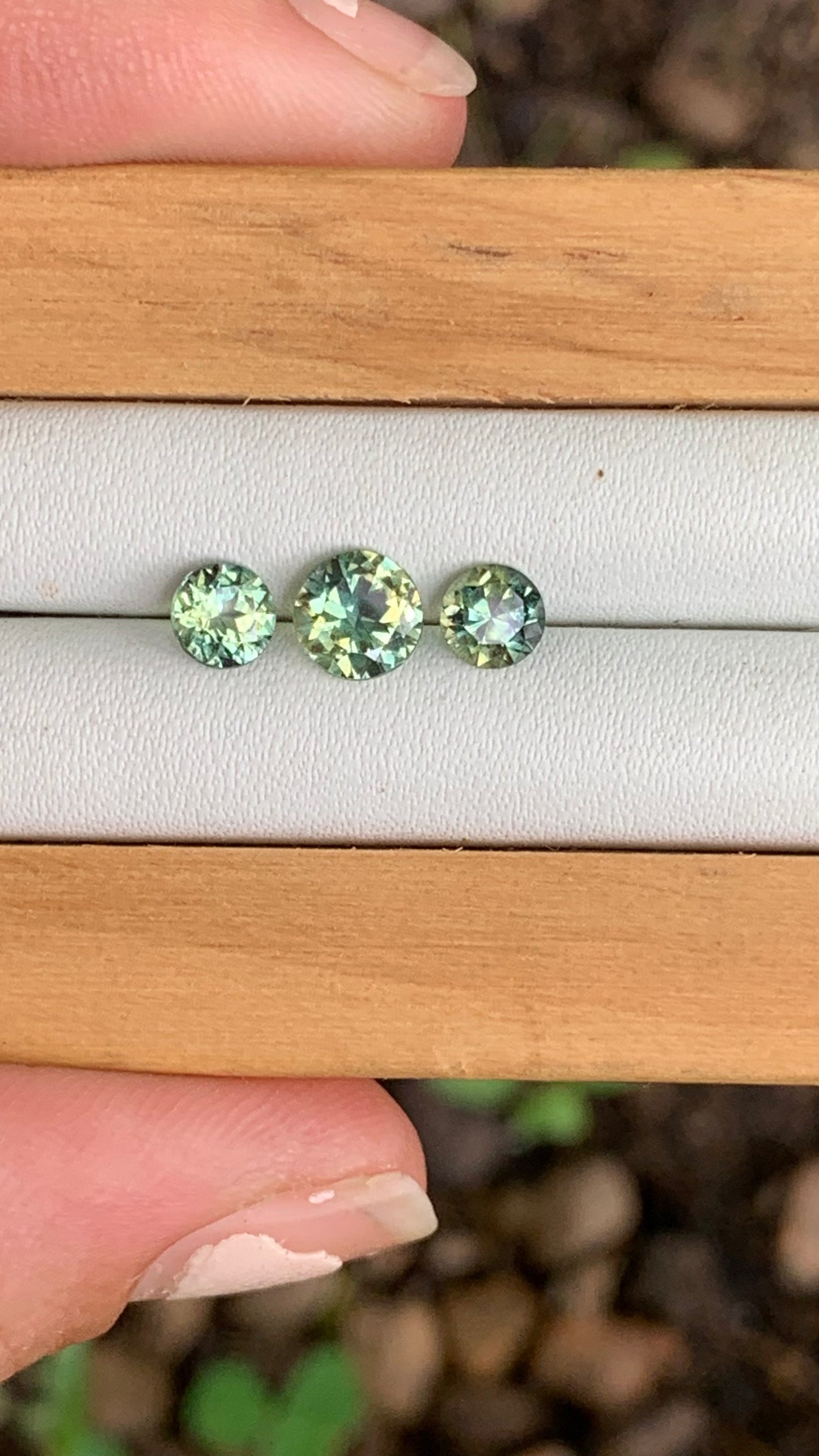 close up of yellow parti Australian sapphire trilogy set 1.71ct total weight loose gemstones