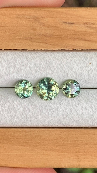 yellow parti Australian sapphire trilogy set 1.71ct total weight loose gemstones