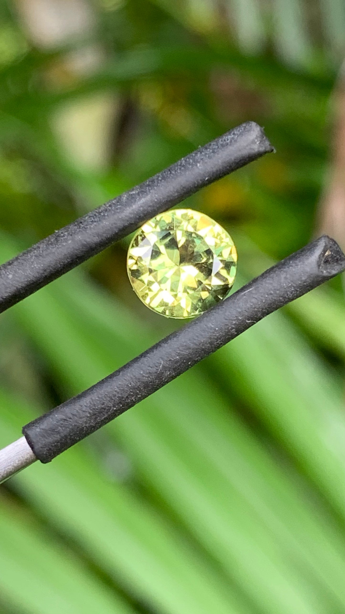 1.46ct Yellow/Green Australian Parti Sapphire