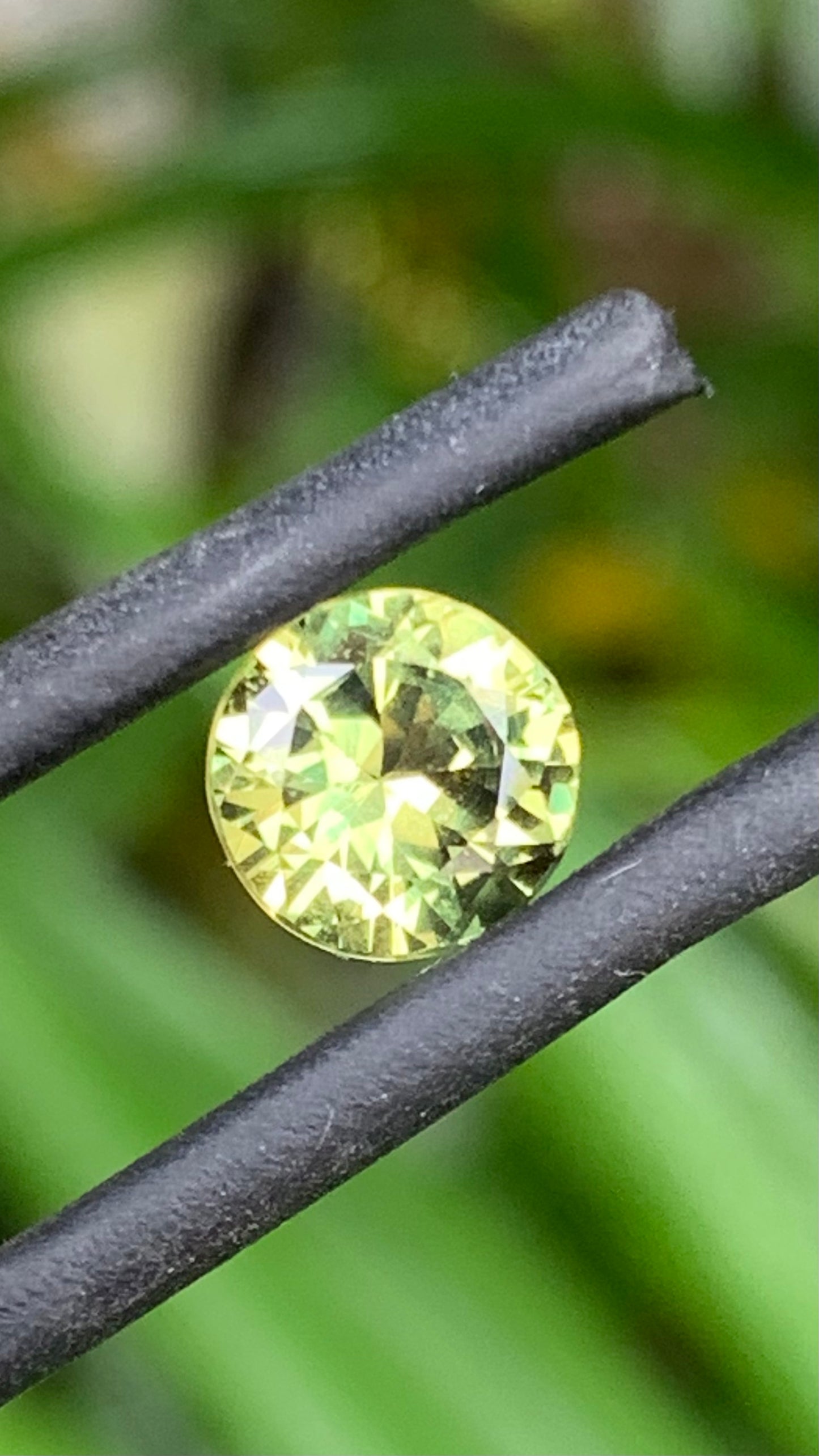 1.46ct Yellow/Green Australian Parti Sapphire