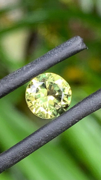 1.46ct Yellow/Green Australian Parti Sapphire