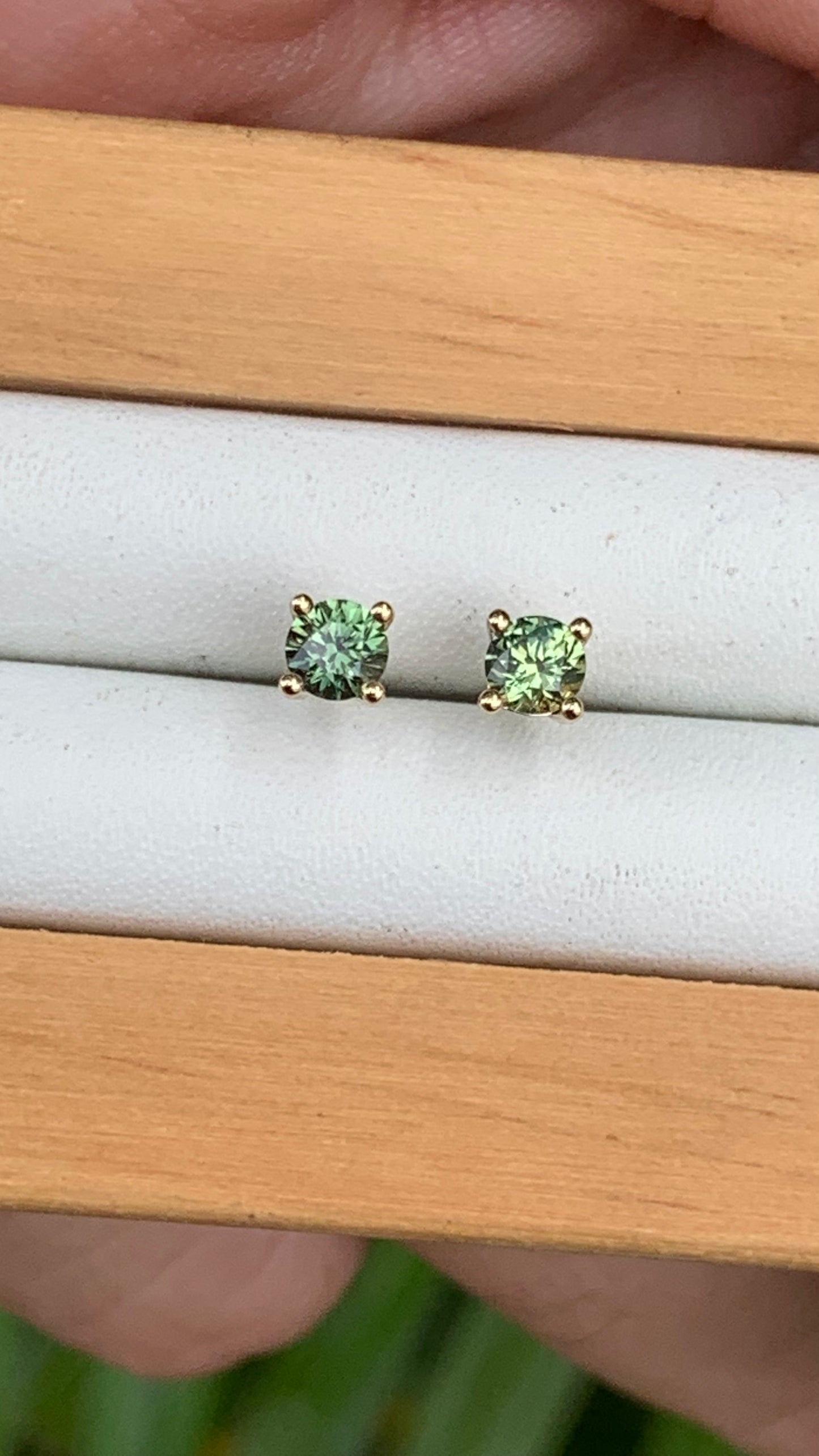 Australian Parti Sapphire Earrings ~ 5mm Gold Studs