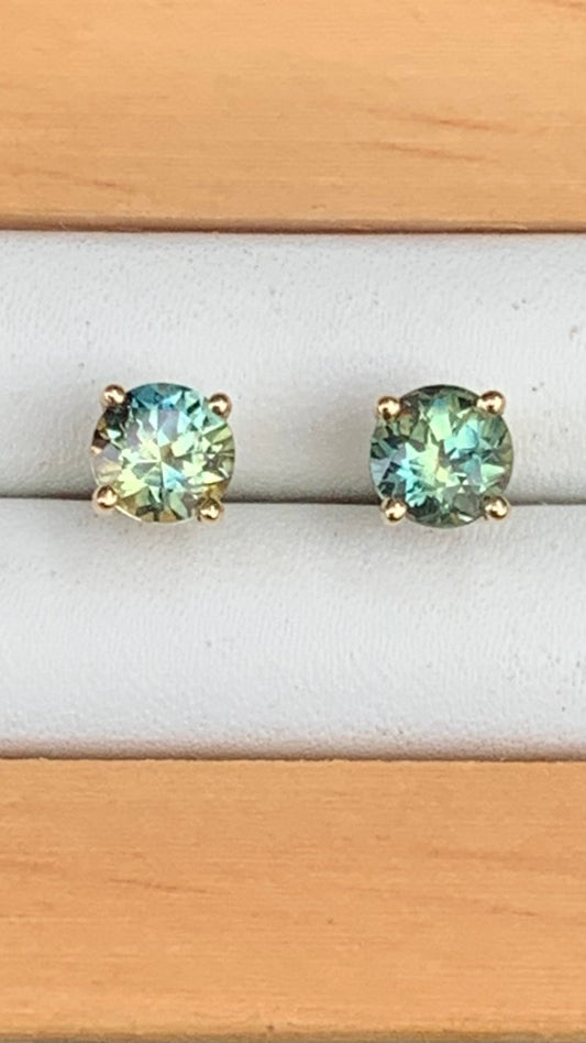 Australian Parti Sapphire Earrings ~ 5mm Gold Studs