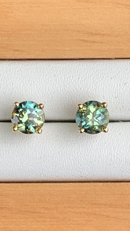Australian Parti Sapphire Earrings ~ 5mm Gold Studs