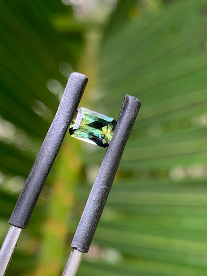 close up yellow parti sapphire with natural zoning unheated Queensland gemstone