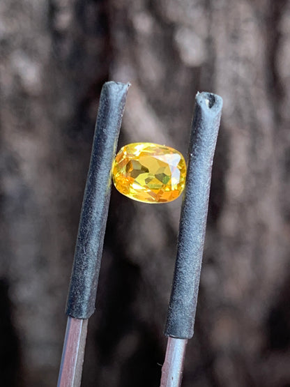 close up vivid yellow sapphire unheated Queensland gemstone cushion cut