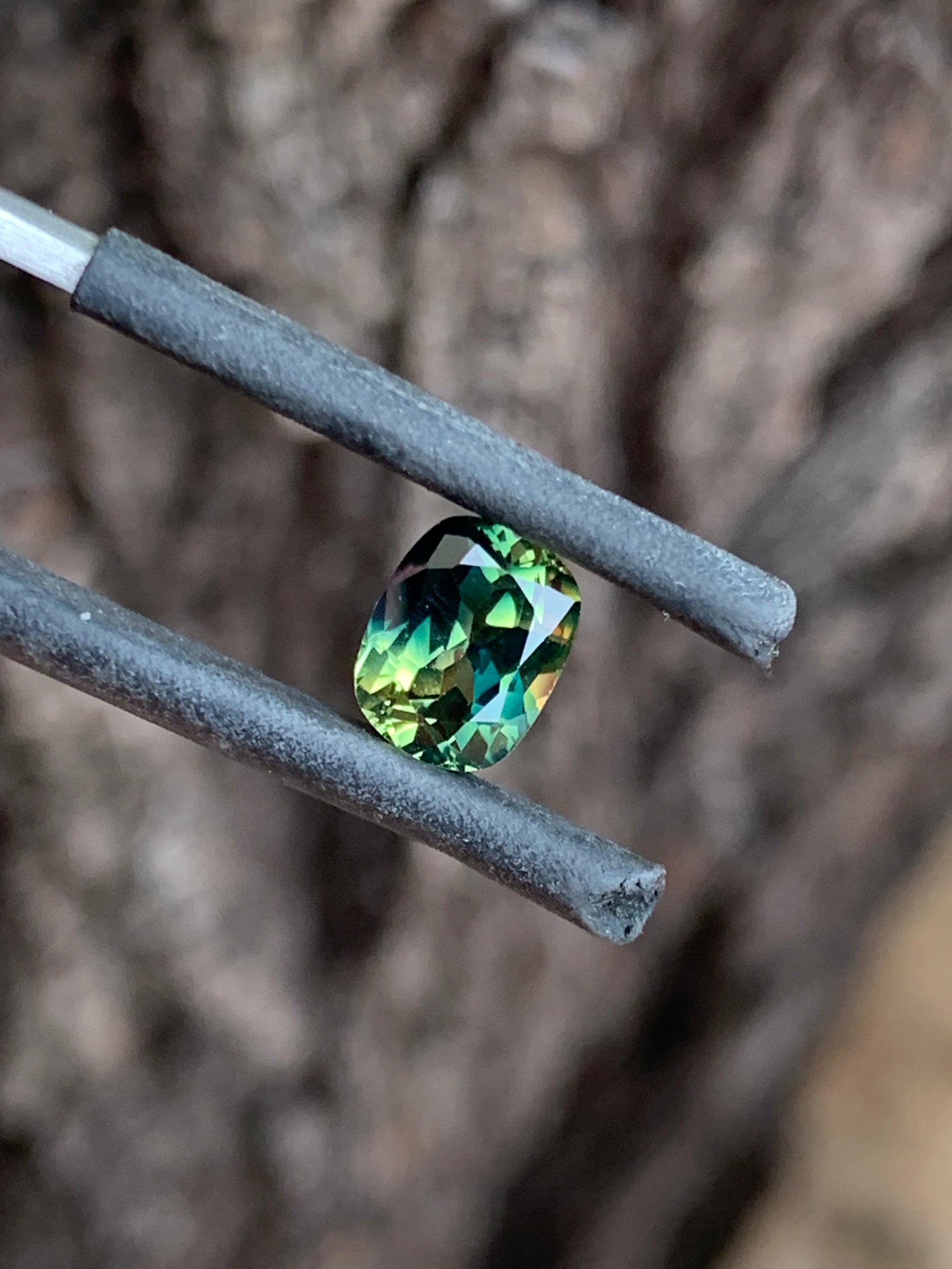 close up teal and yellow parti sapphire unheated Queensland gemstone