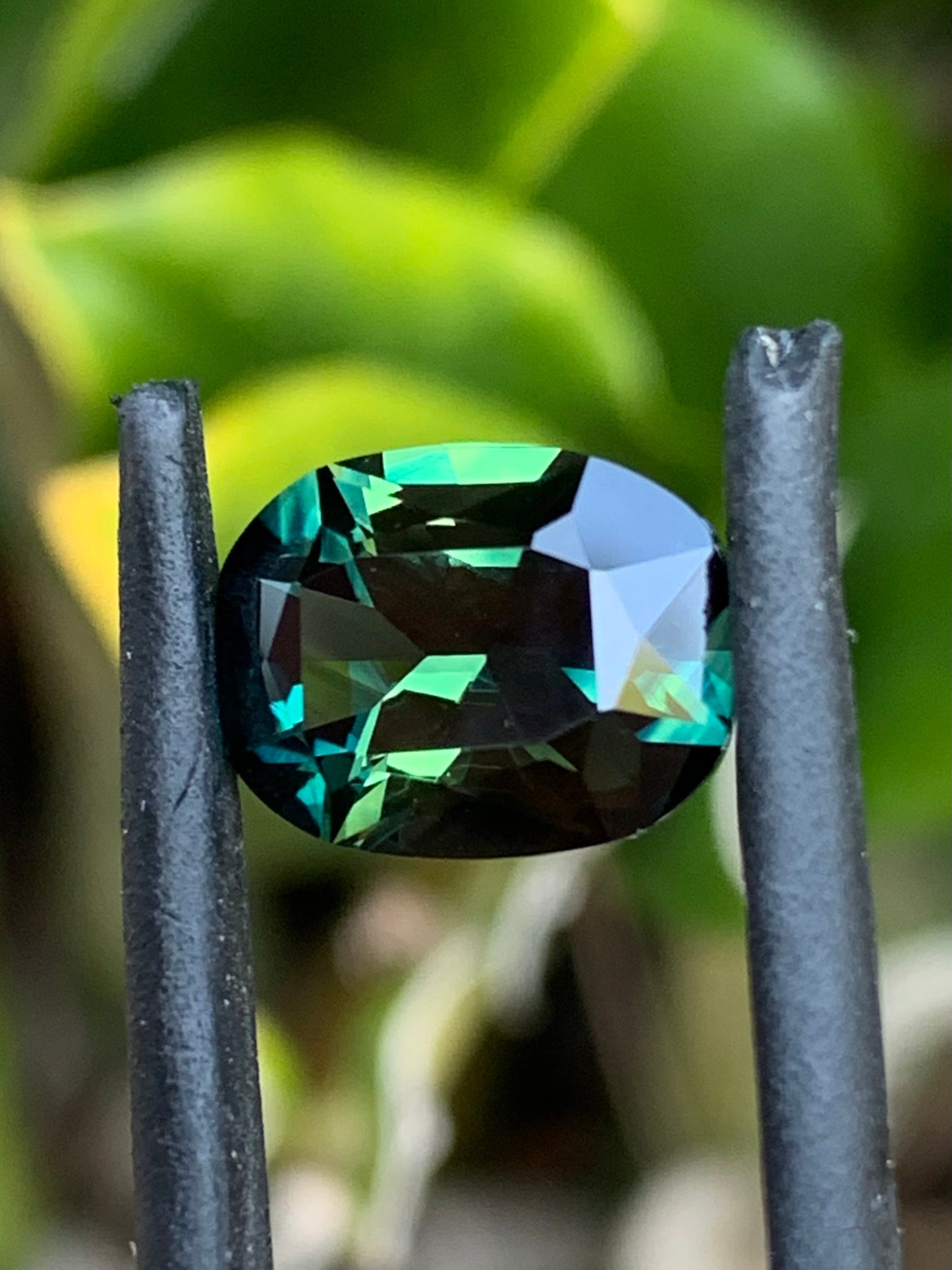 Australian Parti Sapphire