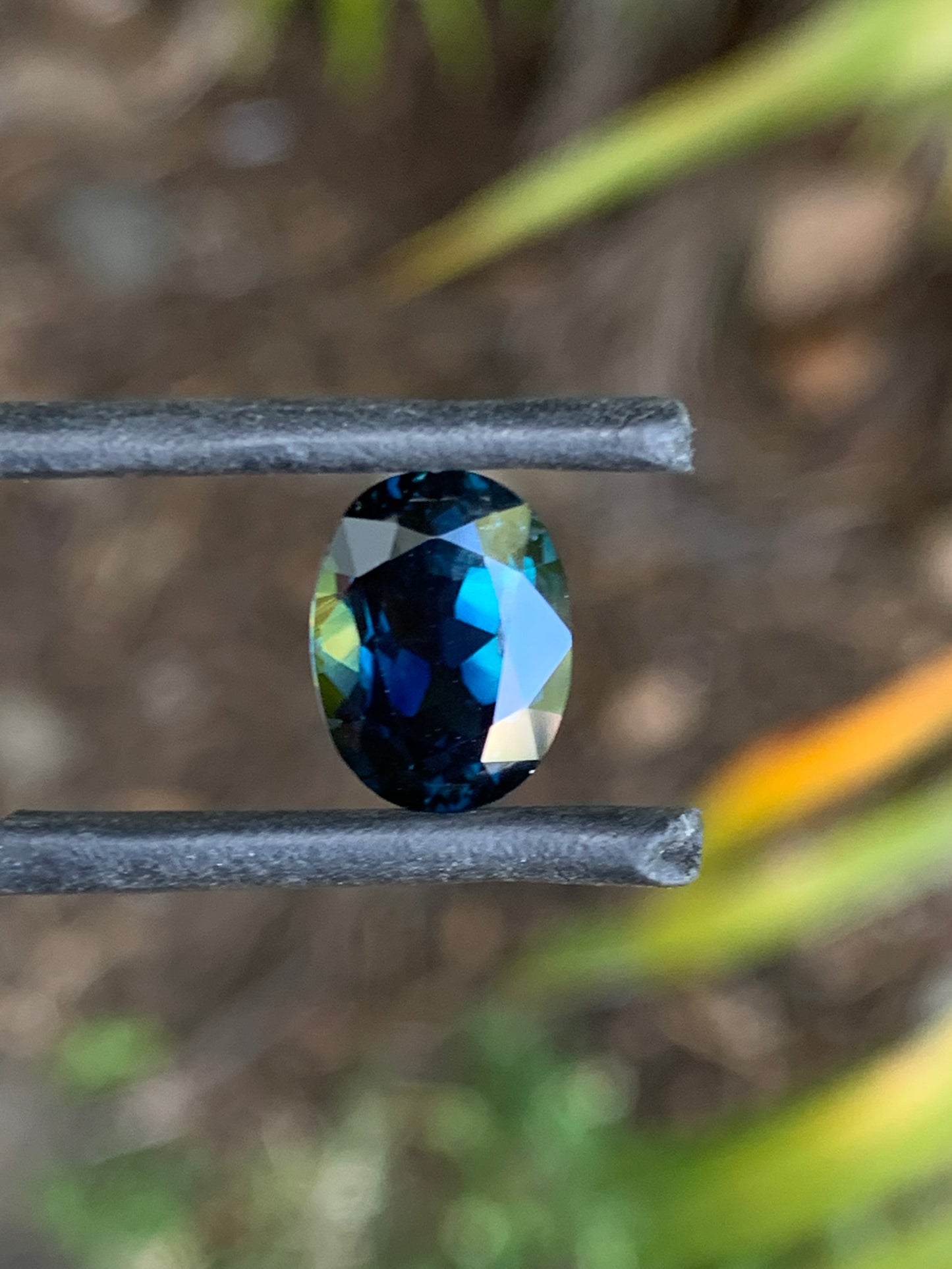 Close-up of a dark blue and yellow Australian parti sapphire