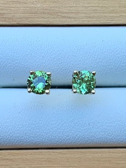 Green Australian Sapphire Earrings ~ 3.5mm Gold Studs