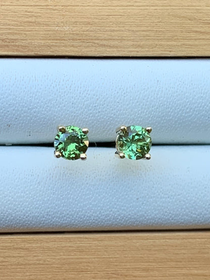 Green Australian Sapphire Earrings ~ 3.5mm Gold Studs
