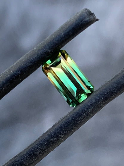1.02ct Bi-Colour Australian Parti Sapphire