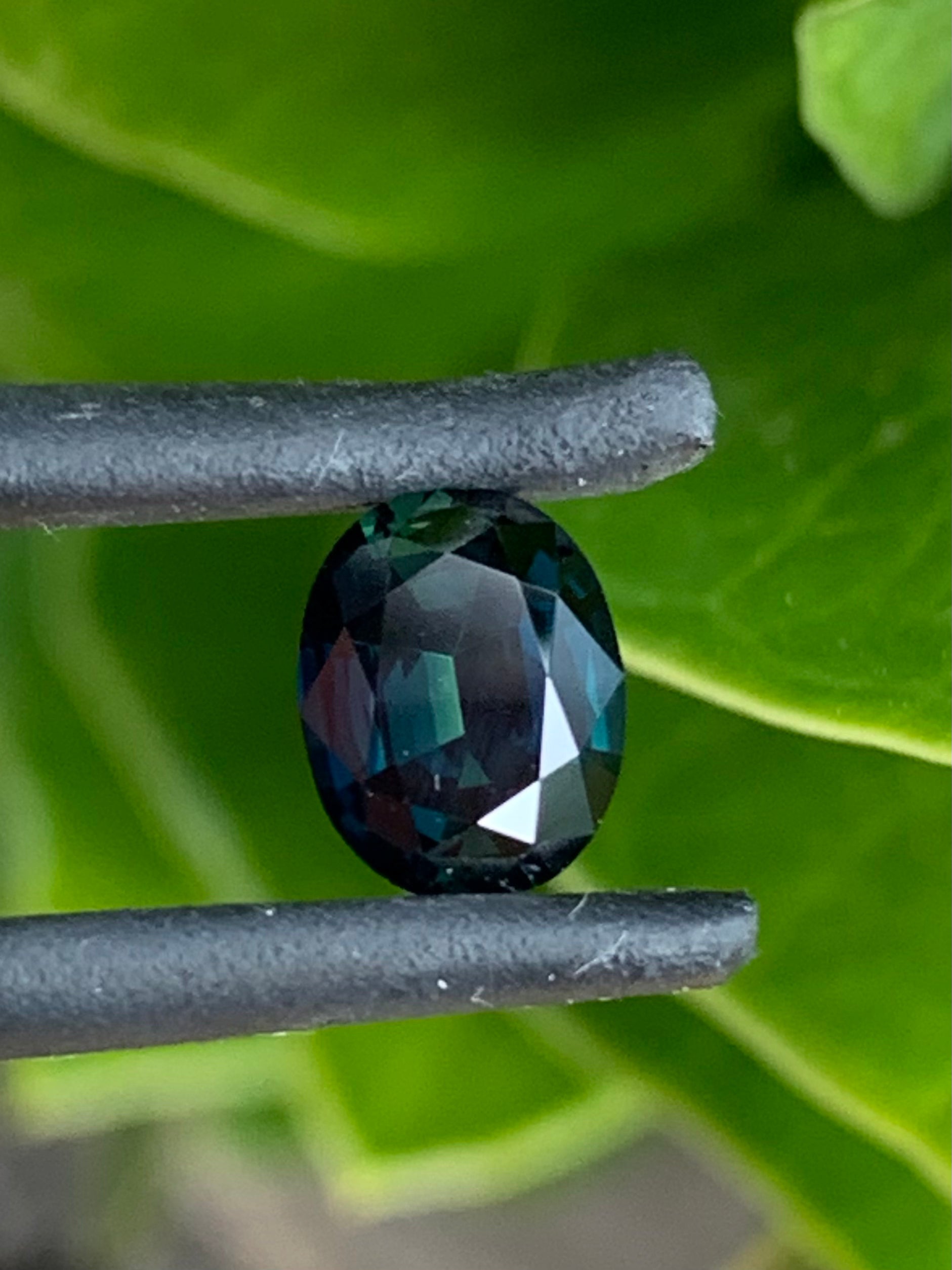 Australian Sapphire Jewellers