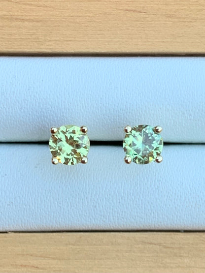 Yellow Australian Sapphire Stud Earrings