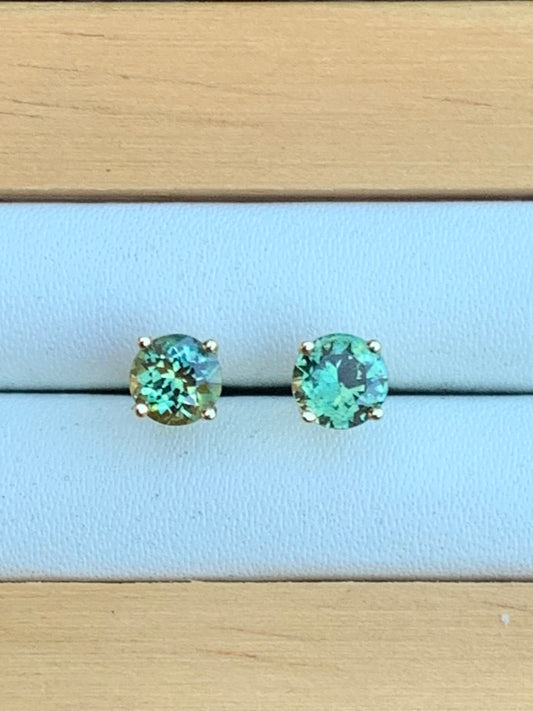 Australian Parti Sapphire Stud Earrings