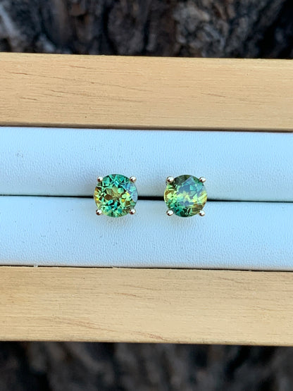 Australian Parti Sapphire Gold Earrings