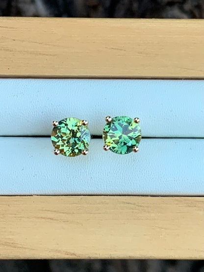 Bright Parti Sapphire Studs