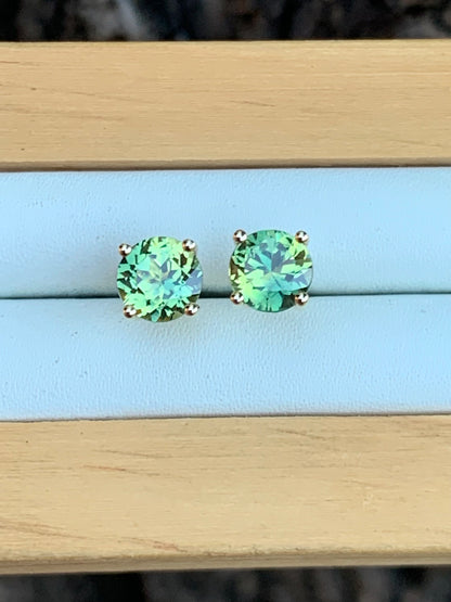 Gold Australian Sapphire Stud Earrings