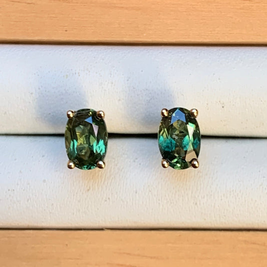 Oval Australian Parti Sapphire Earrings ~ 6x4mm Gold Studs